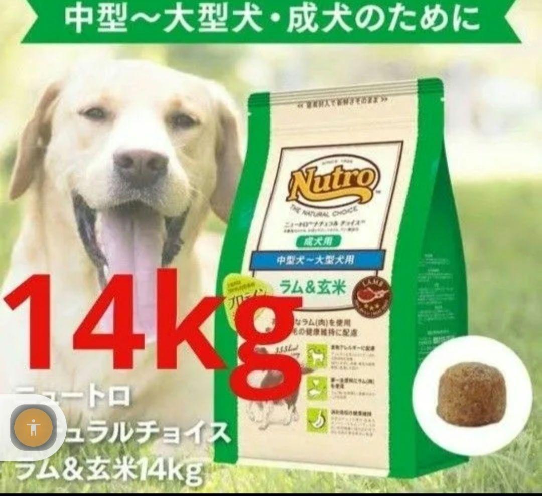ニュートロナチュラルチョイスラム＆玄米中型犬大型犬成犬用 14kg