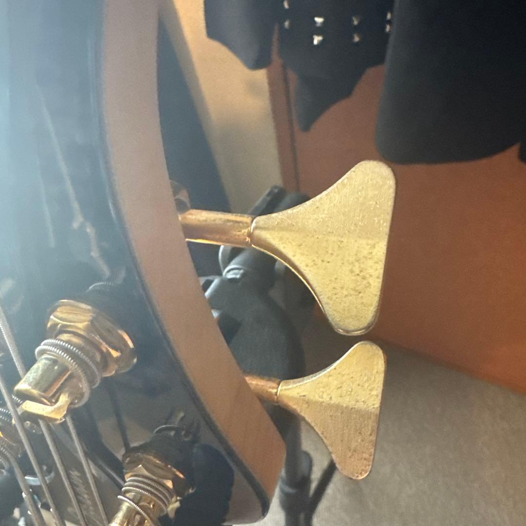 【タイムセール中‼️】ESP STREAM-CTM-SL5 Marine Blue