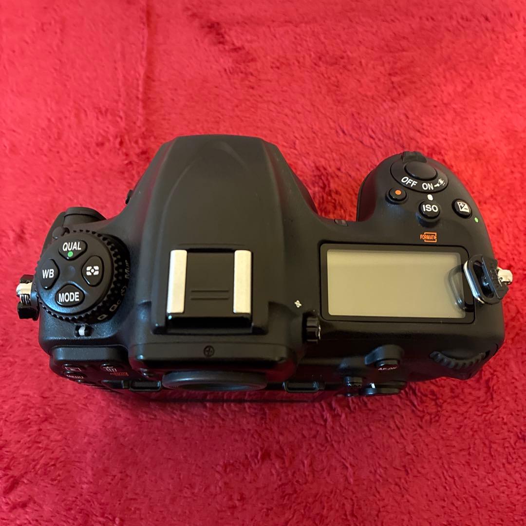 Nikon ニコン　D500 オマケ付き(kf-nfe2) ショット数22876
