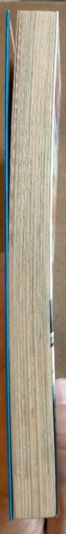 ブリーチ 1巻 初版 ☆コレクター必見☆ 希少 プレミア レア