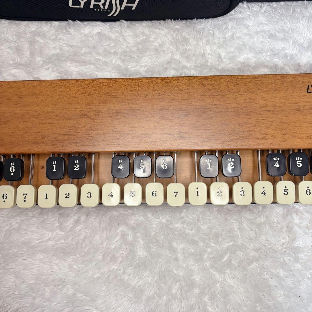LYRISH ライリッシュ 大正琴 LPS50 和楽器　専用ソフトケース付き