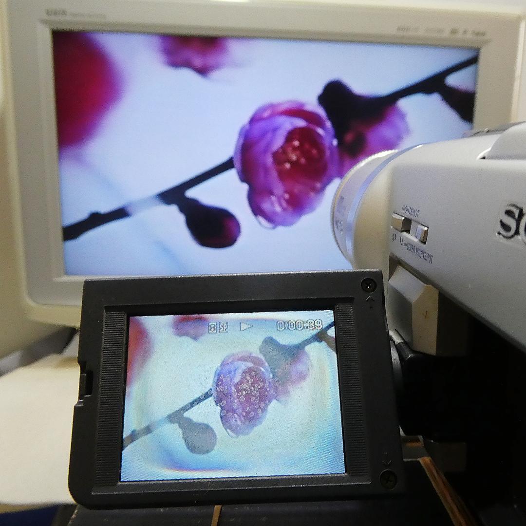 ソニー DCR-TRV225【動作良好】デジタル8ビデオカメラ Hi8/8