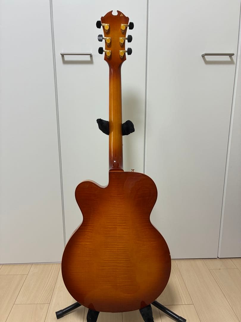 D'Aquisto Jazz Line JR / DiMarzio搭載