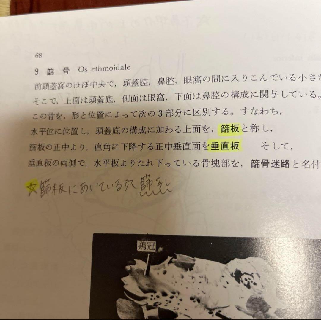 口腔解剖学 骨学 アトナーム社 元東京歯科大学教授