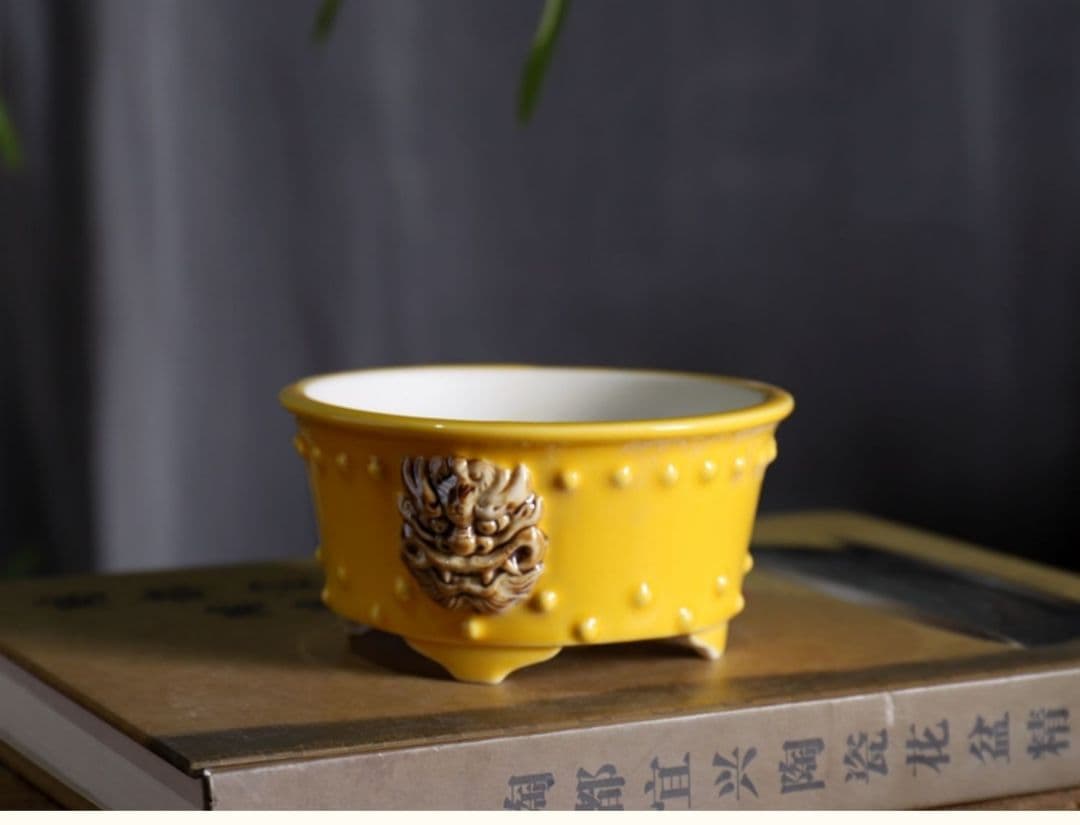 「獣面鼓釘円盆」多肉菖蒲盆栽 植木鉢 小品盆栽鉢 大品盆栽鉢