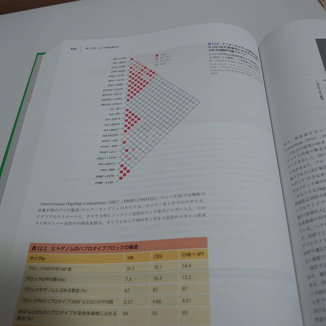 美品 ヒトの分子遺伝学 第5版 Human Molecular Genetics