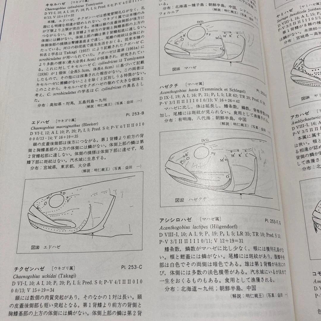 日本産魚類大図鑑 全2巻　東海大学出版会　学習参考書　本