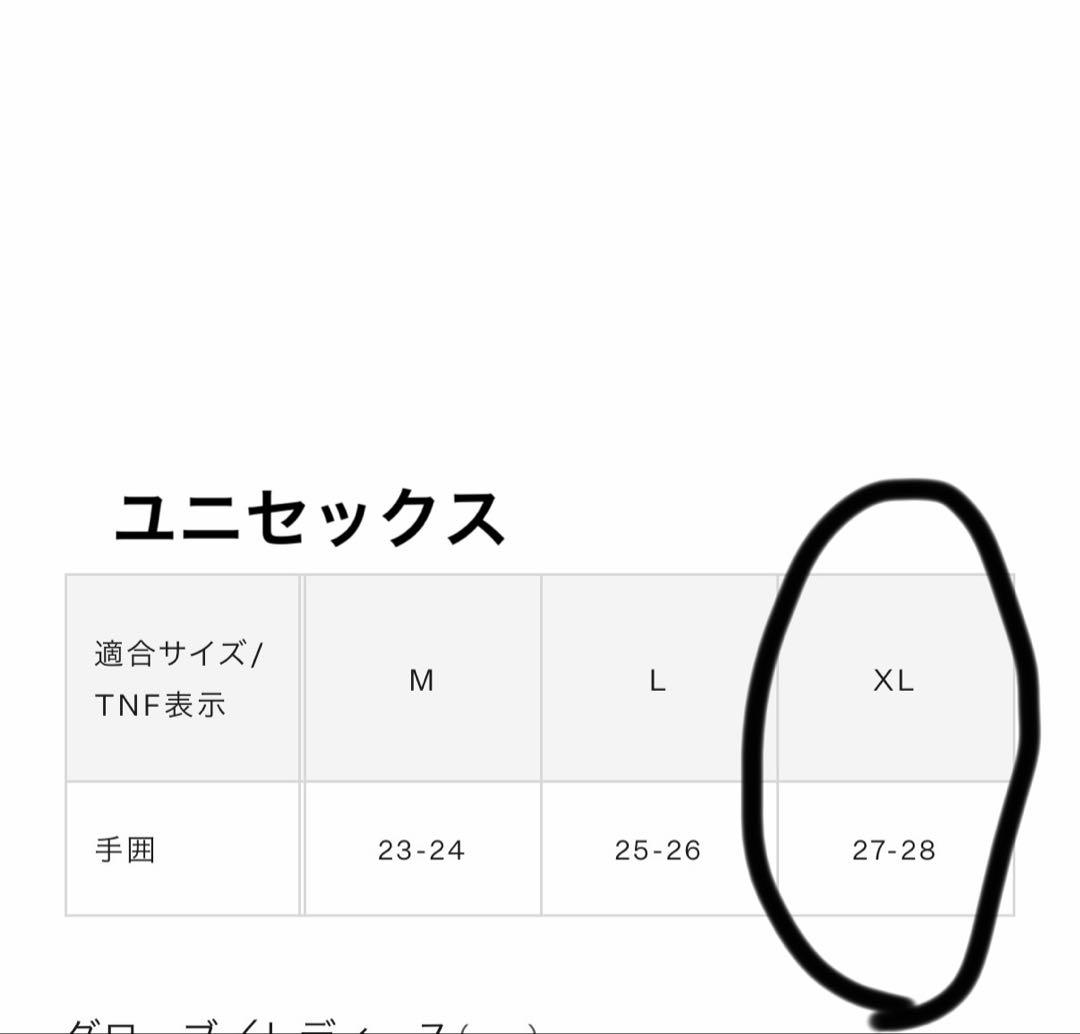 ⚠️専用⚠️手袋　グローブ　新品　未使用　スマホ操作可能