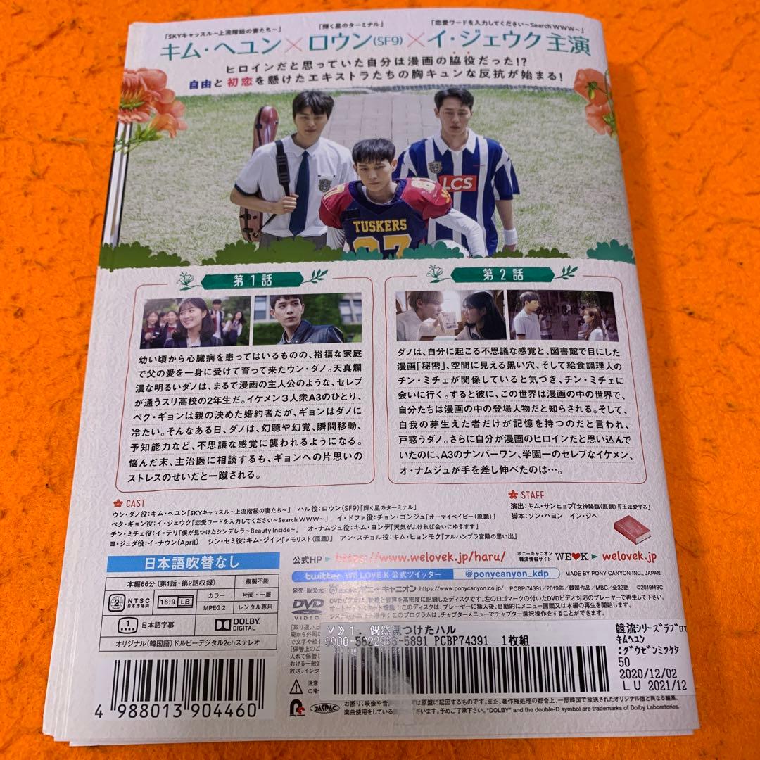偶然見つけたハル　 DVD 全巻セット