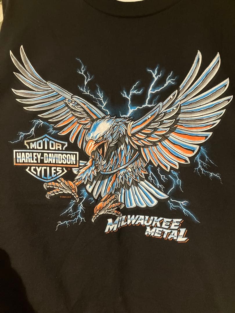 し*久様 Harley-Davidson ブラック Tシャツ 2XL