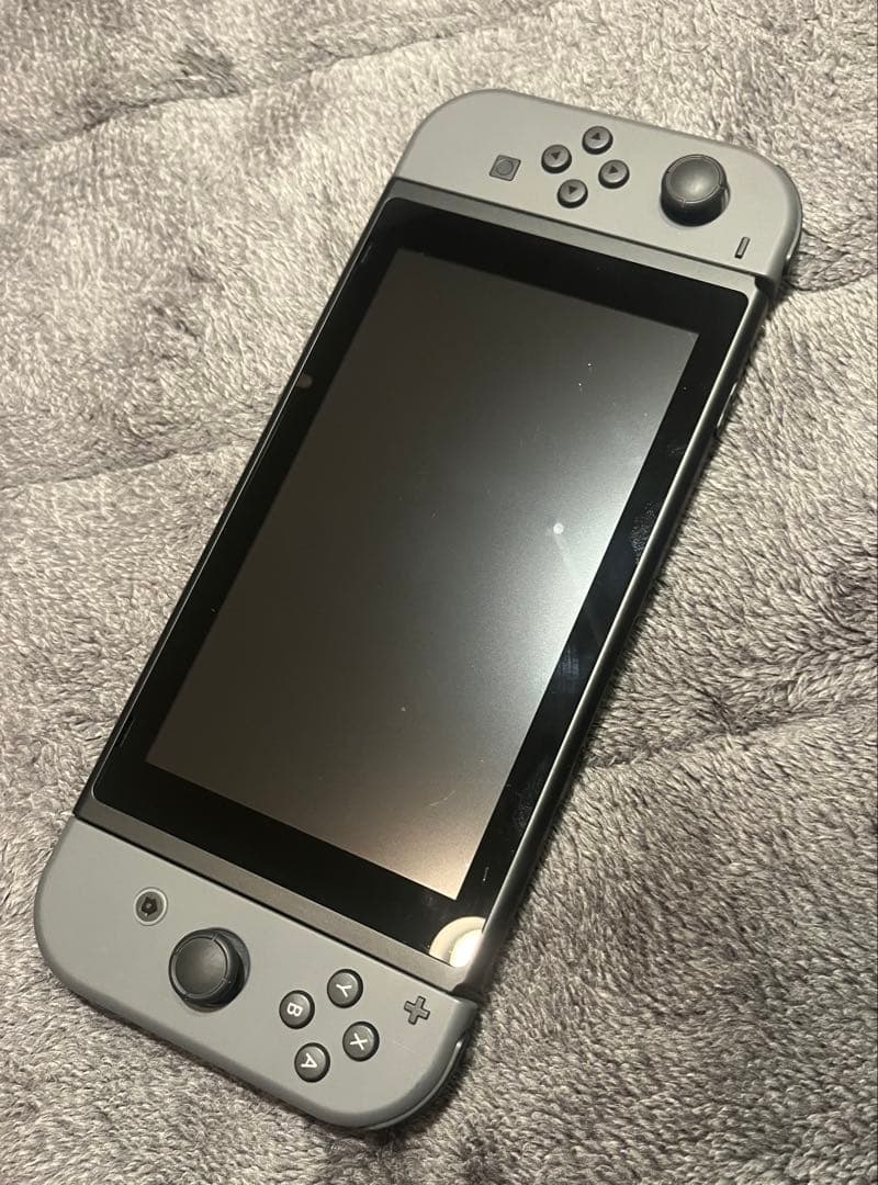 Nintendo Switch 本体 グレー ACアダプター、大人の脳トレ付き