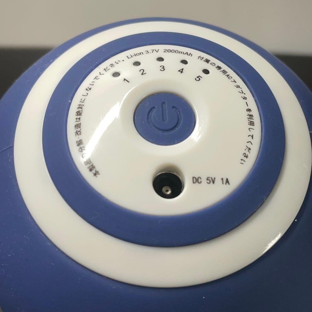 【美品 即納】OASIS スタイリーボール｜付属品揃い｜ストレッチ筋膜リリース