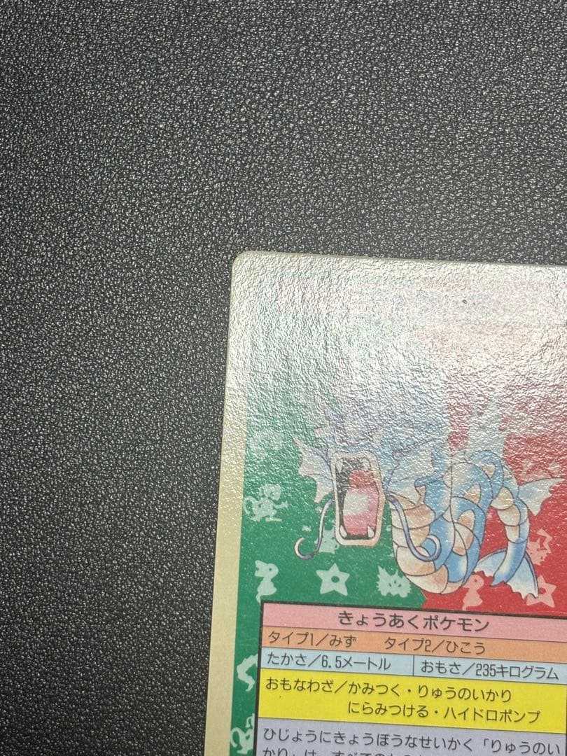 ポケモンカード　トップサン　裏青　ギャラドス