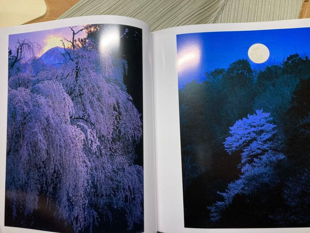 竹内敏信　天地(あめつち)サイン入り貴重作品集