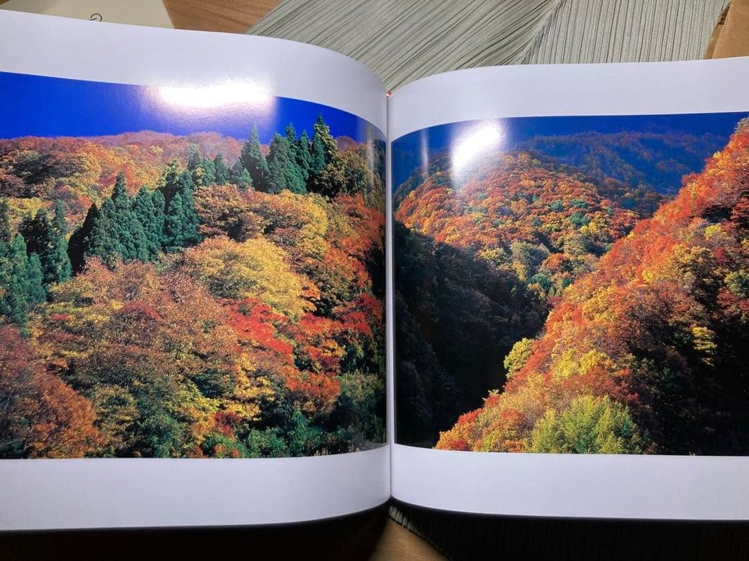 竹内敏信　天地(あめつち)サイン入り貴重作品集