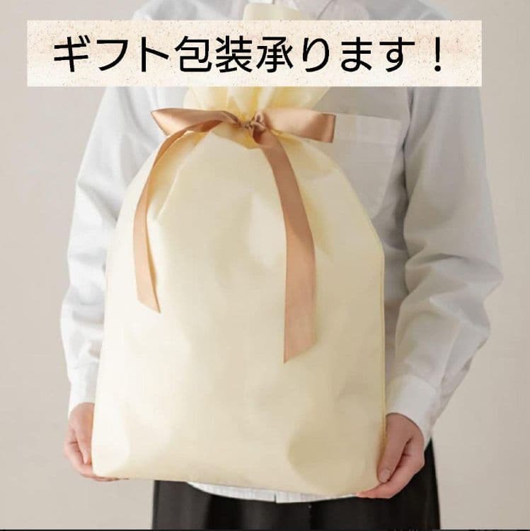 未使用タグ付 2023 定価3.9万 ベイジ HOLLY Vネックカーディガン