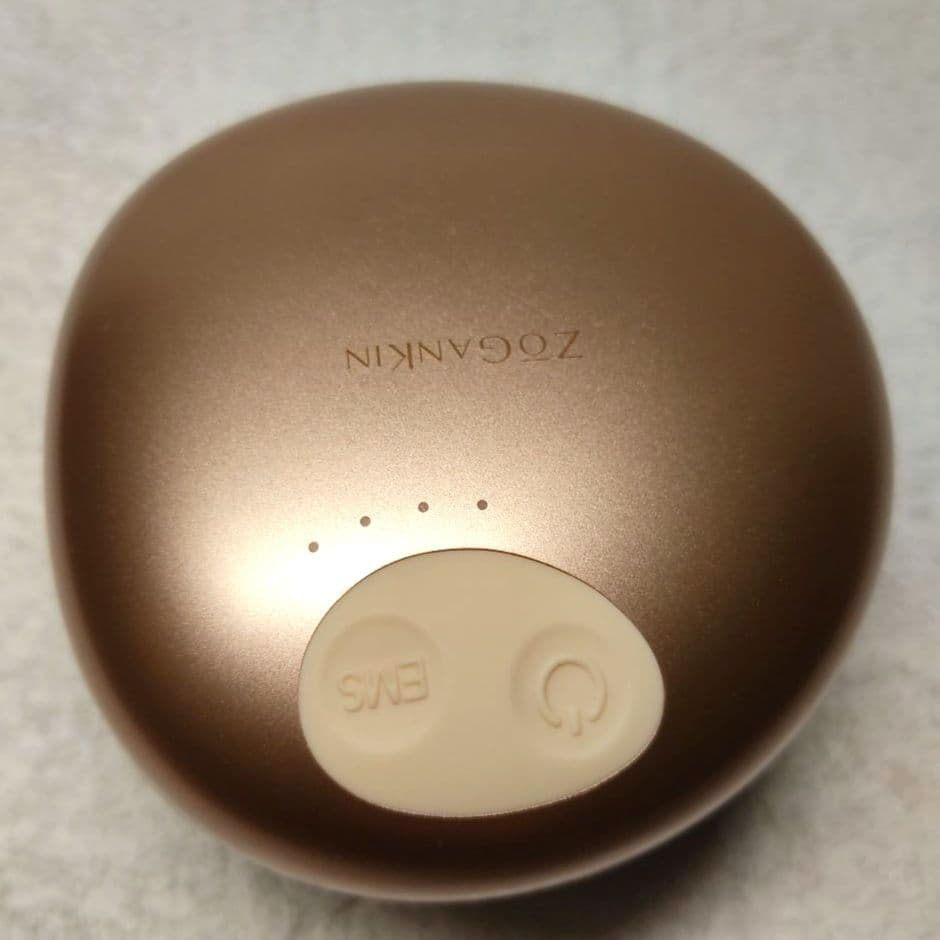 ninnico　ゾーガンキンスカルプ　２個セット